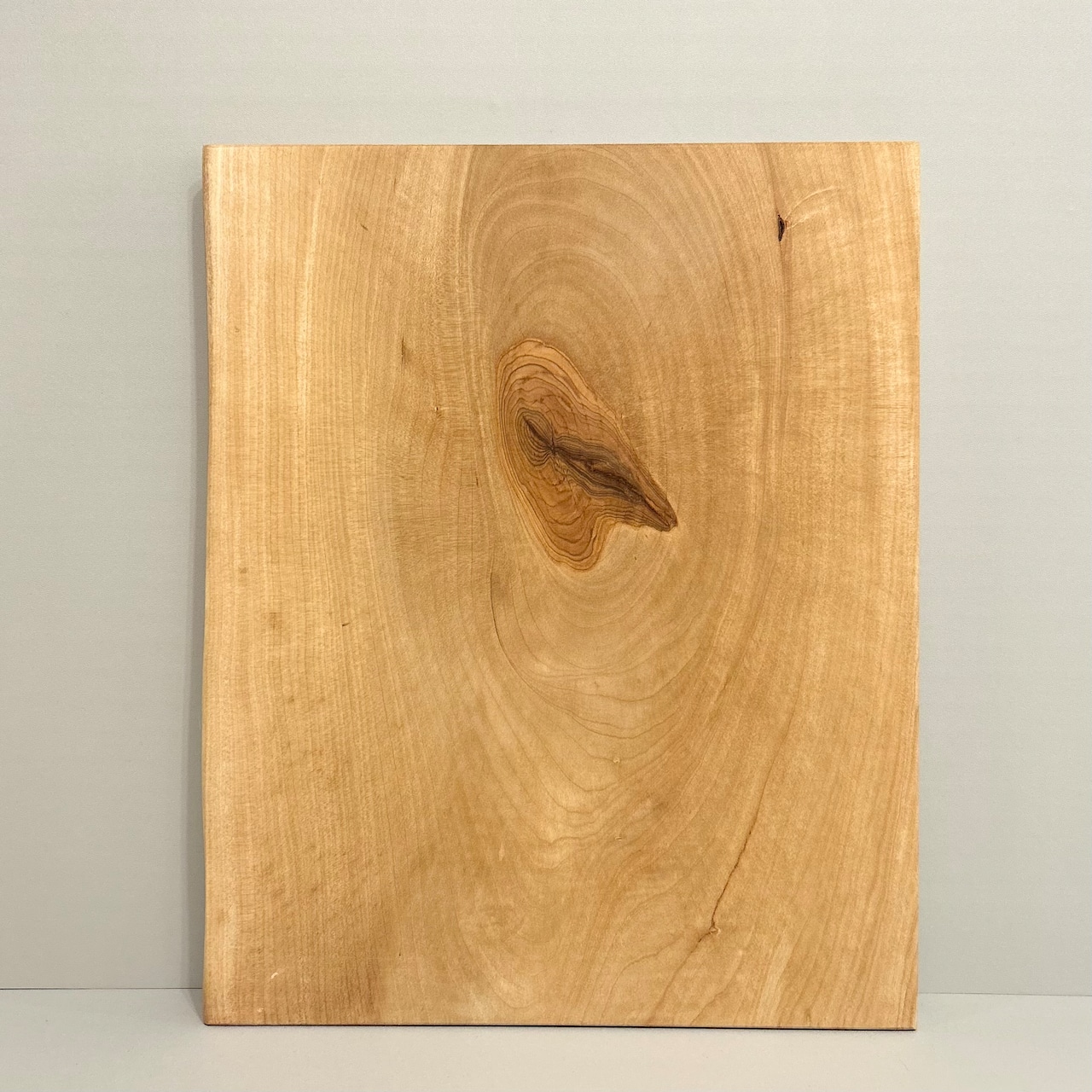 木の結婚証明書|ホルトノキ|No.665