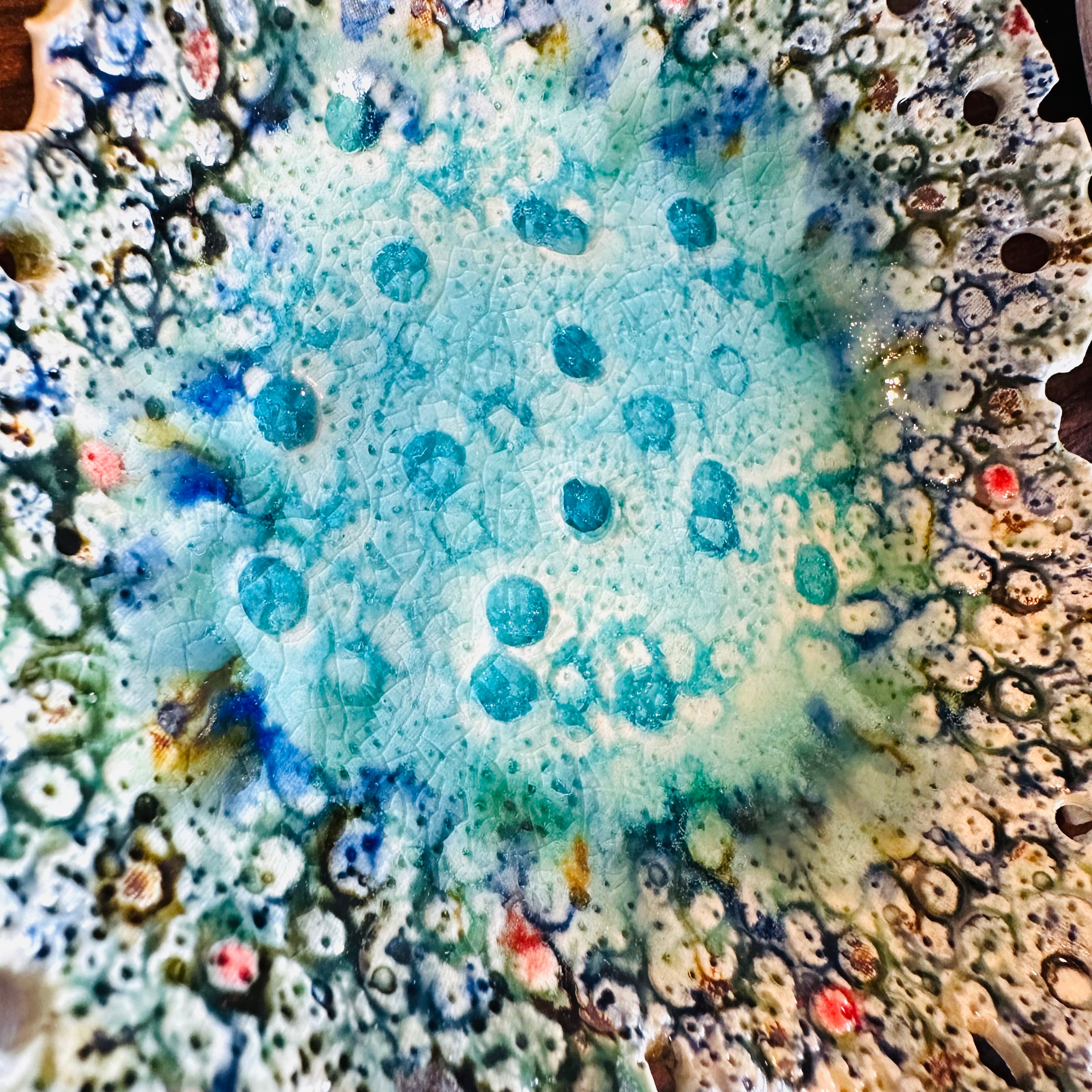 蛍窯 珊瑚プレート皿 ver.2 | B-Blue