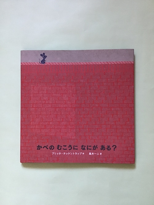 かべのむこうになにがある？　　ブリッタ・テッケントラップ　作　／　風木　一人　訳／　BL出版　　25×26cm