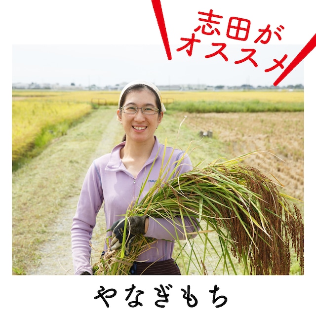 【自然栽培米】糯米・白米　やなぎもち　1kg