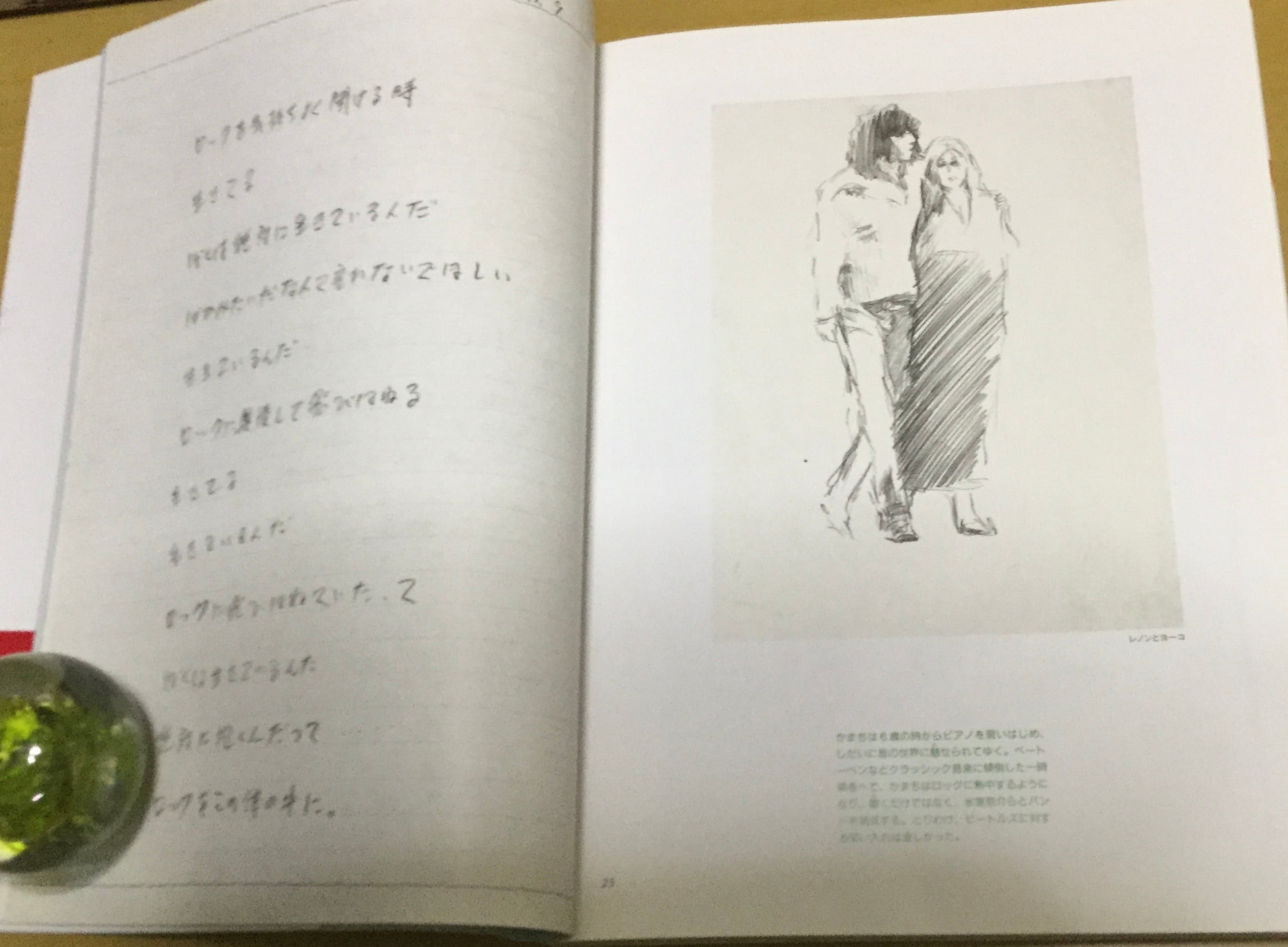 青い炎 山田かまち作品集 | 絵本 雲龍