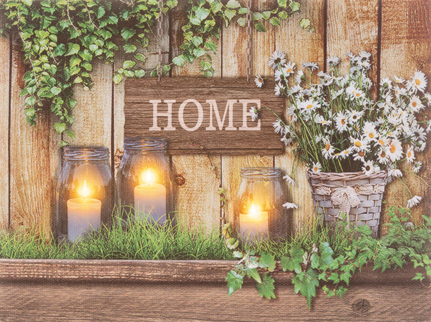 ライトアップキャンバスデイジー　　PDS-9336　4961823709494　ディスプレイ雑貨