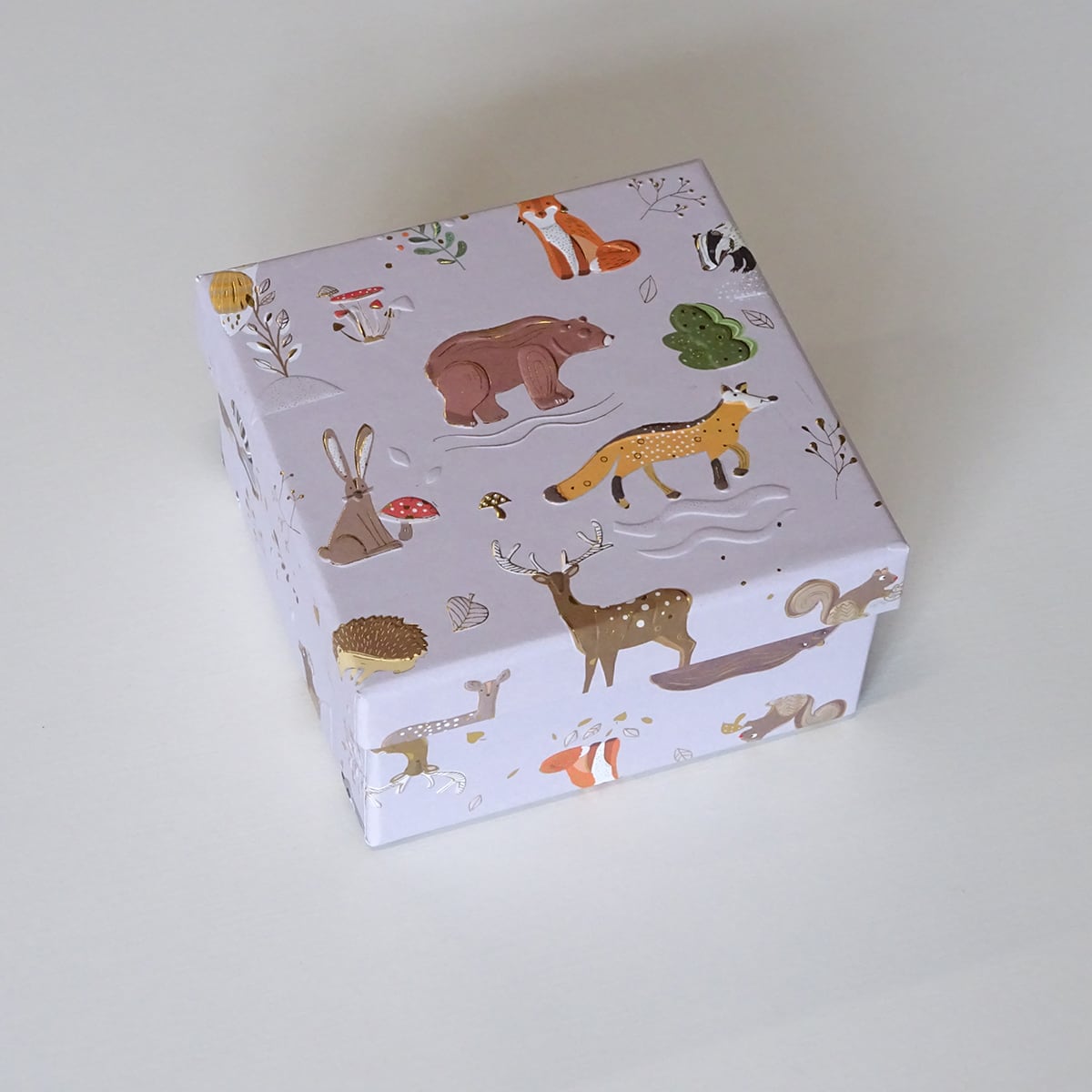 ラッピングボックス スクエア Turnowsky 森のどうぶつ GW9354BR