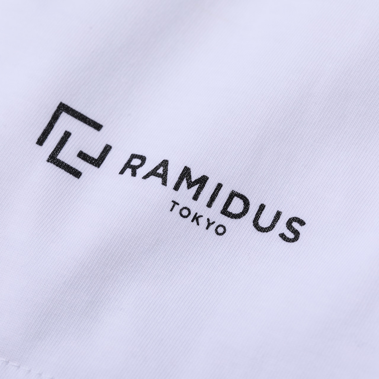 RAMIDUS  S/S TRIM TEE 再入荷