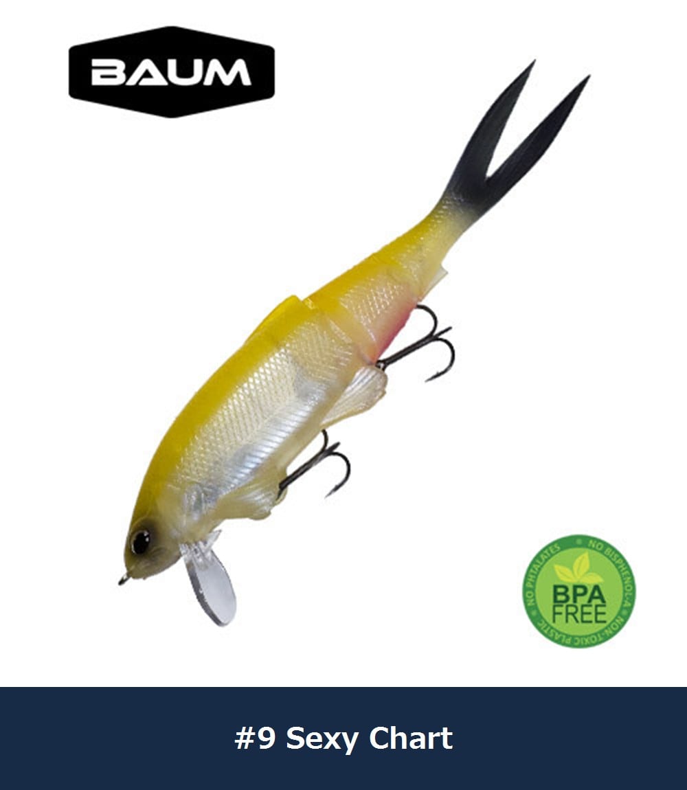 BAUM MUON 無音 | イワモト釣具オンラインSHOP