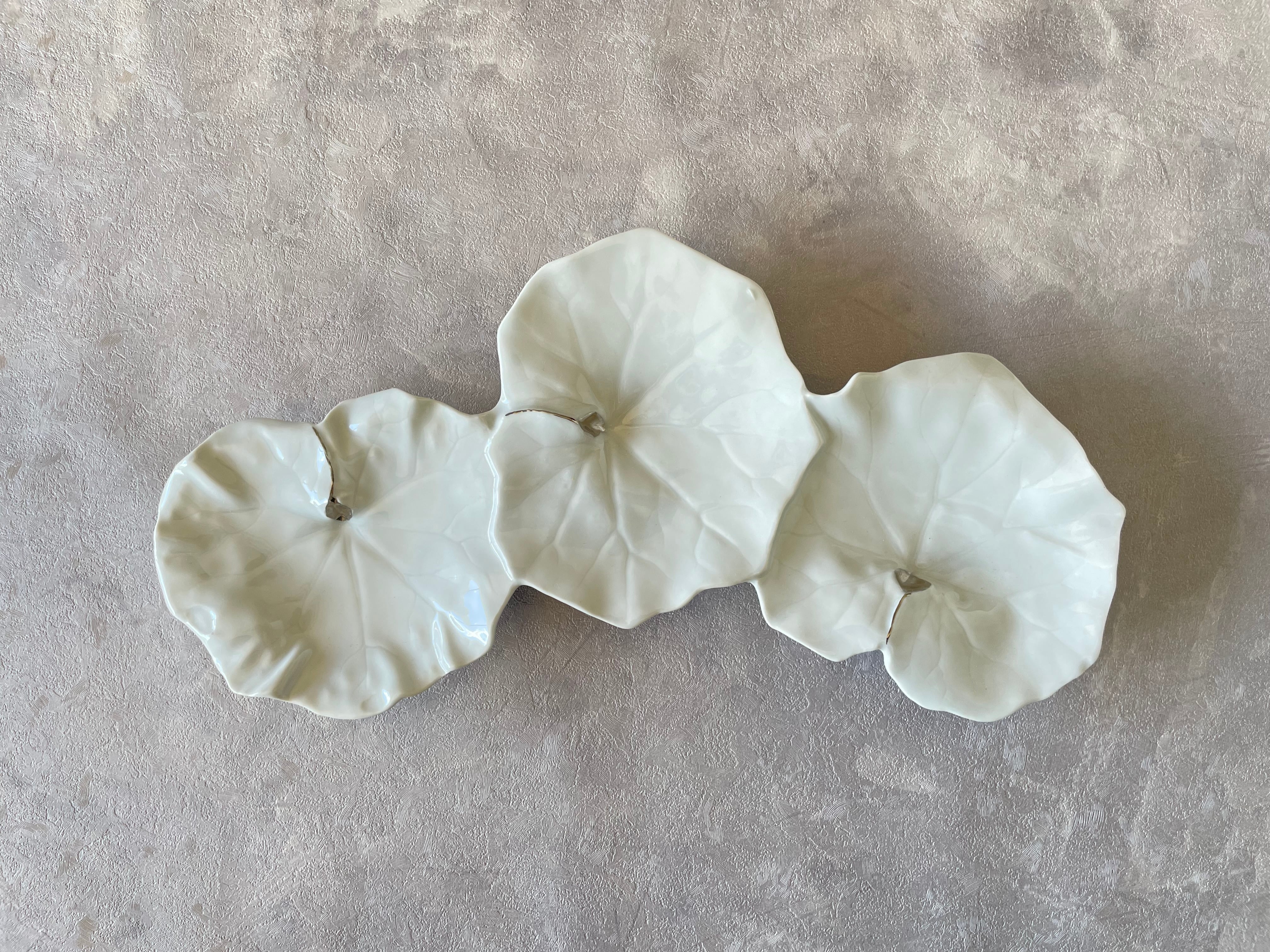 福泉窯 | FUCHIGAMI TOJIKI