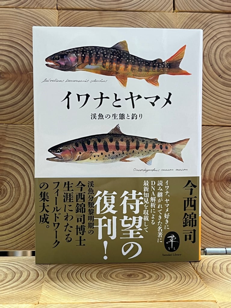 イワナとヤマメ 渓魚の生態と釣り | 冒険研究所書店