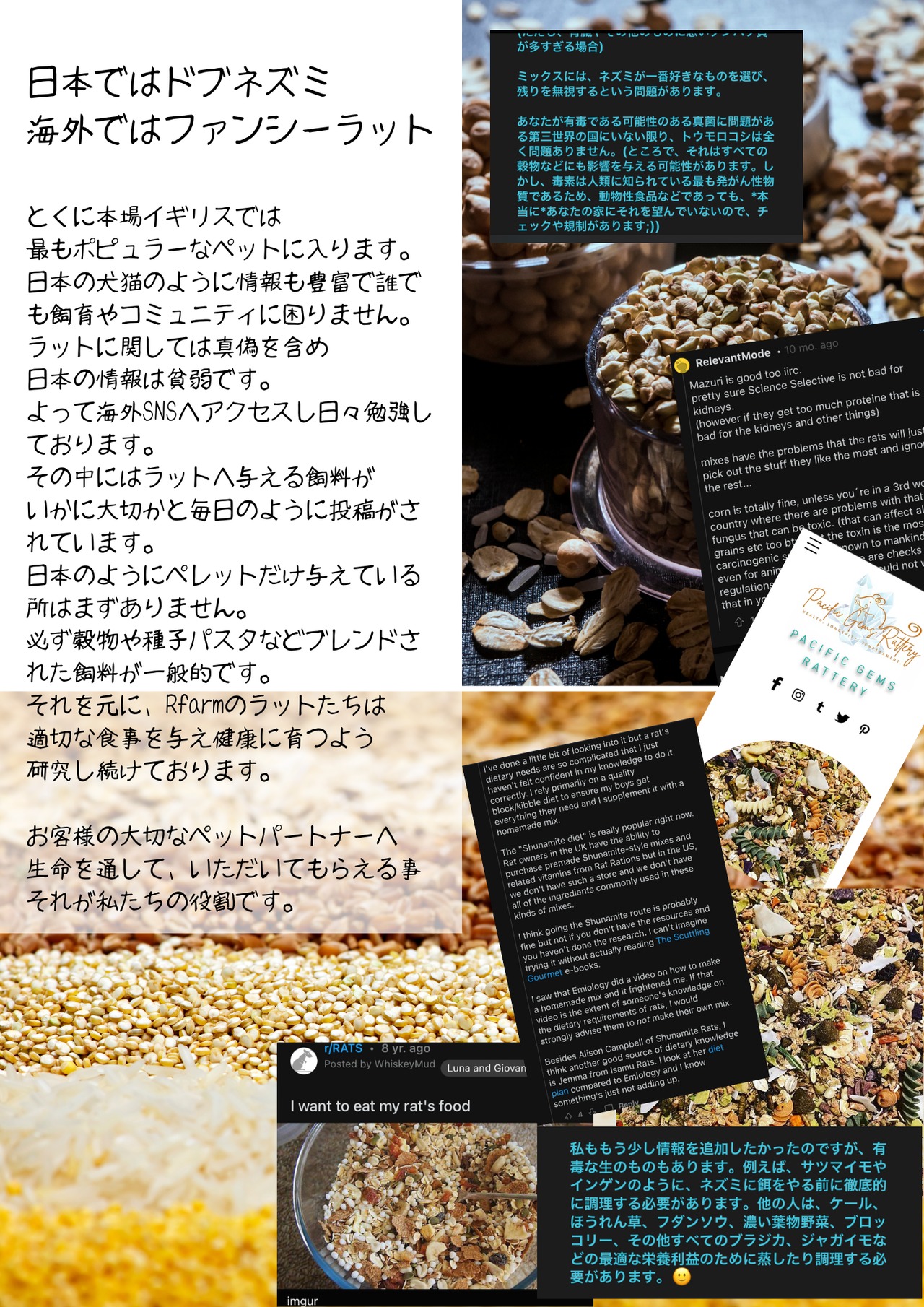 国産冷凍アダルトラットMS及びML 国産冷凍アダルトラットMS (91-150g) | Maniac