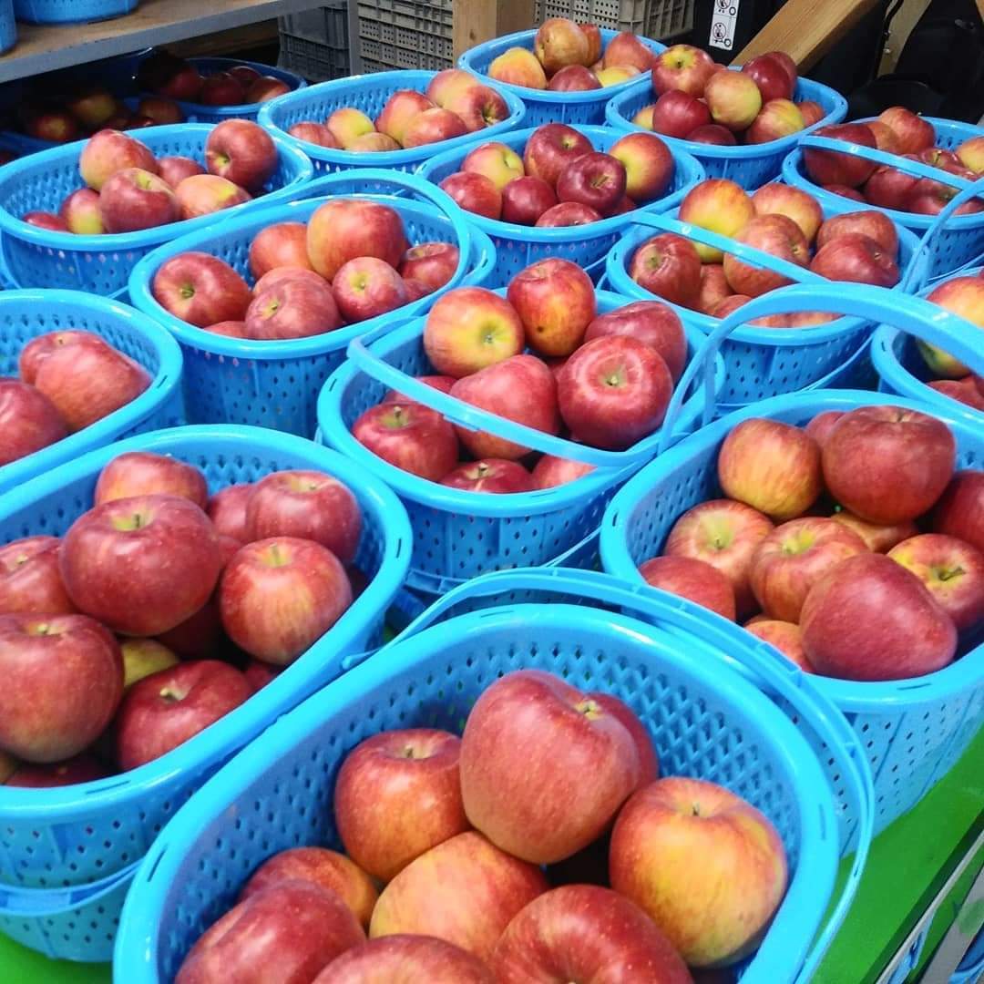 樹上完熟サンふじ(小玉）5kg ※20-25玉サイズ | フルーツファーム中村