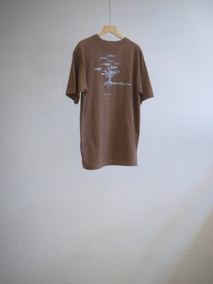 His Tree T-shirt /  BROWN