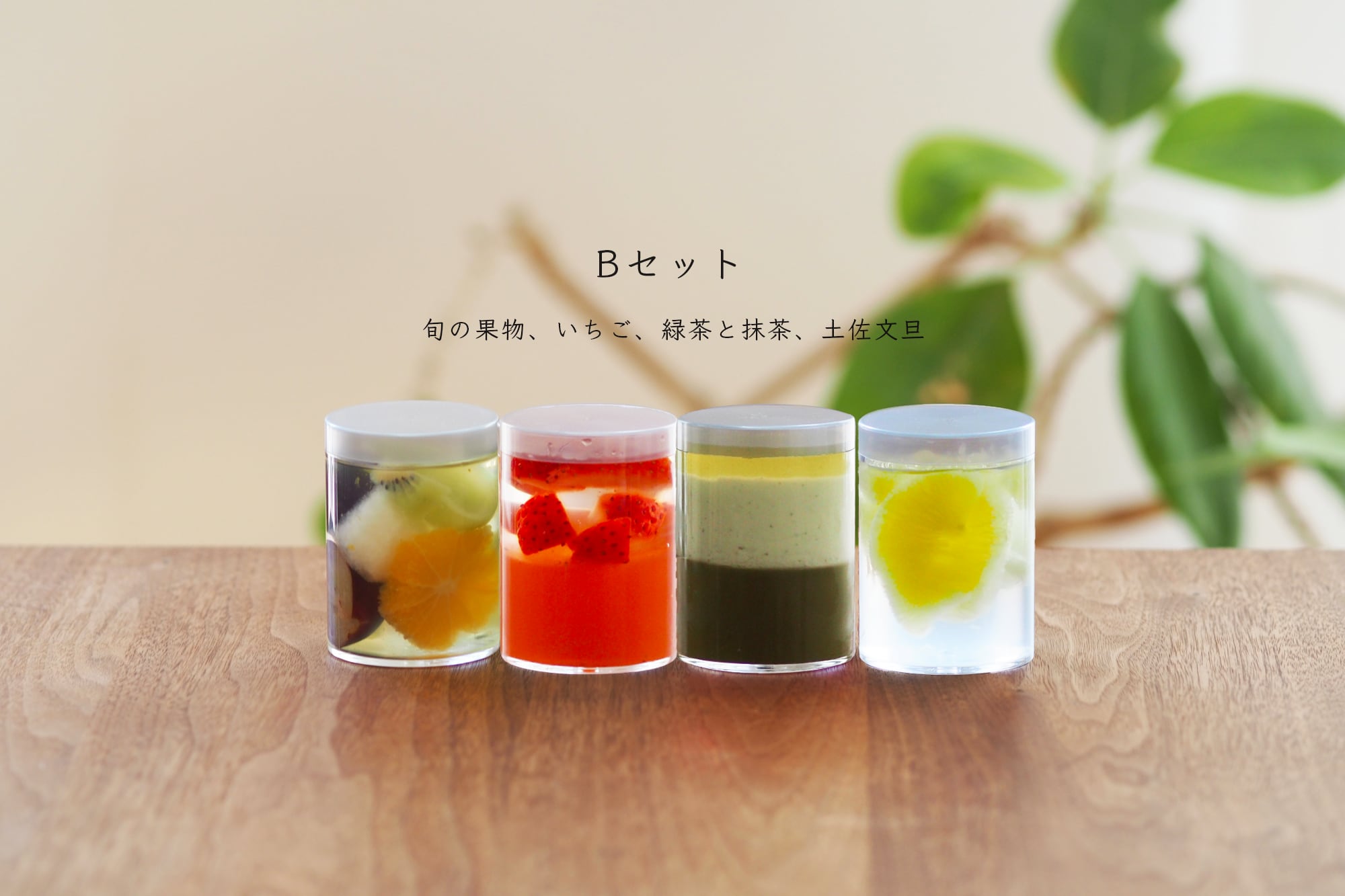 3月のゼリーセットB【旬の果物・いちご・抹茶と緑茶・土佐文旦】3月27日発送予定