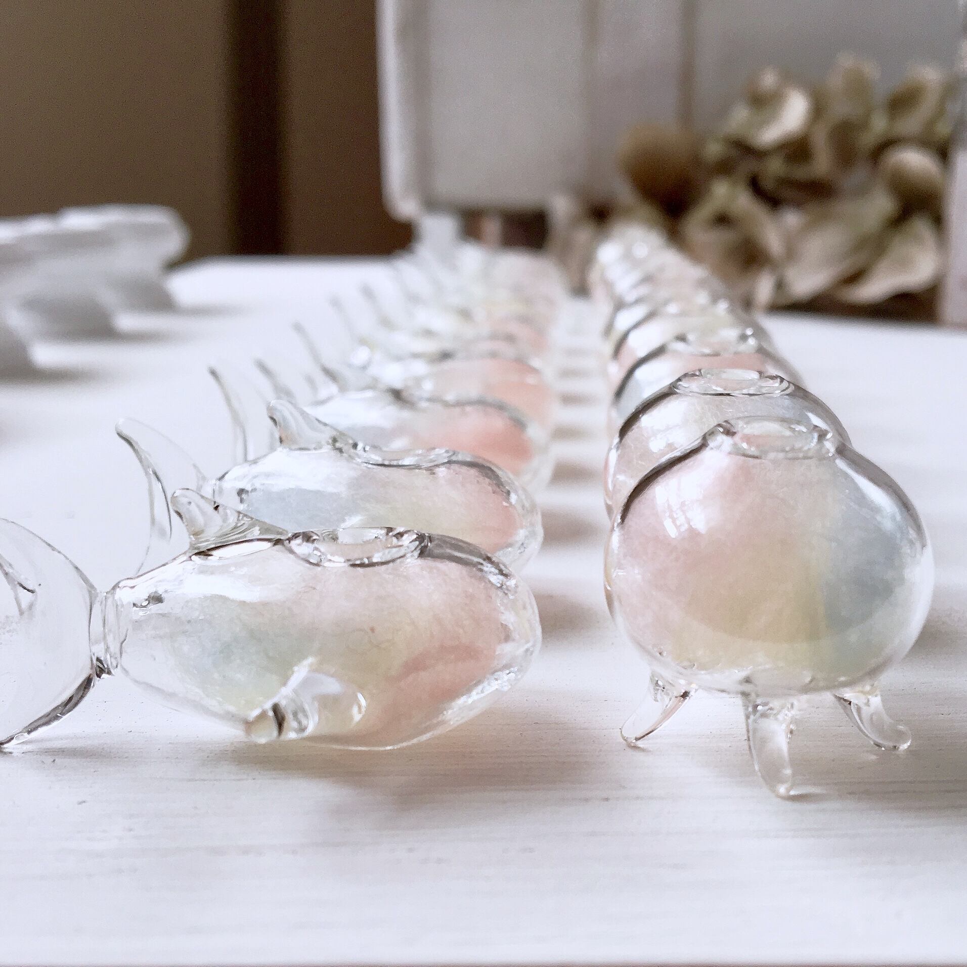 レインボージンベイザメのピアス/イヤリング Whale shark pierce