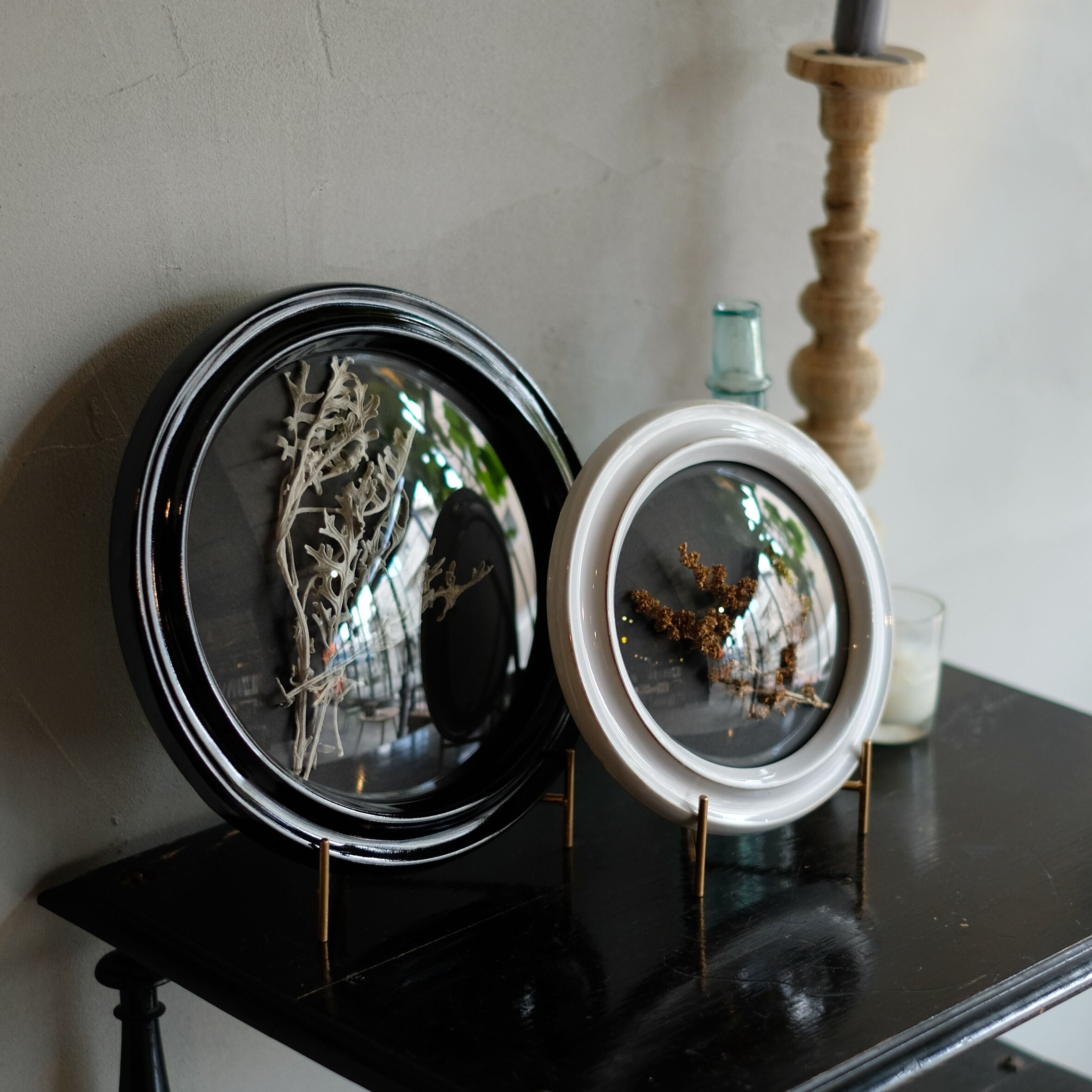 Convex Glass Case DF (S) | WEST VILLAGE TOKYO