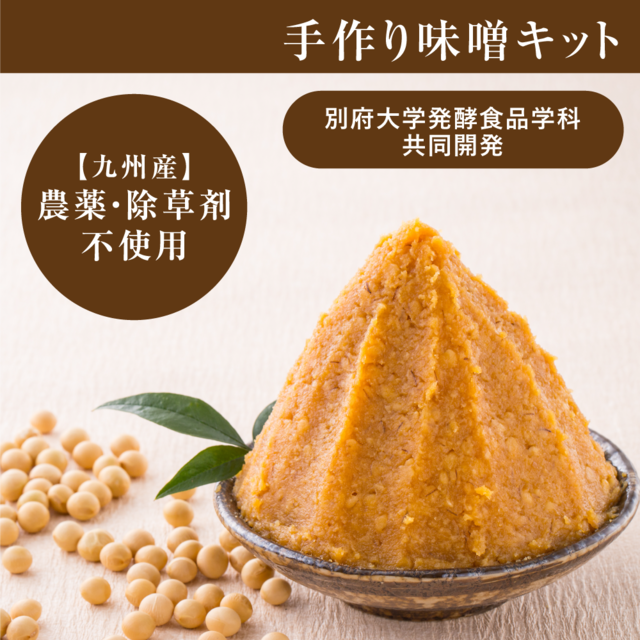 【九州産・農薬、除草剤不使用】簡単！味噌キット（別府大学コラボ）送料無料