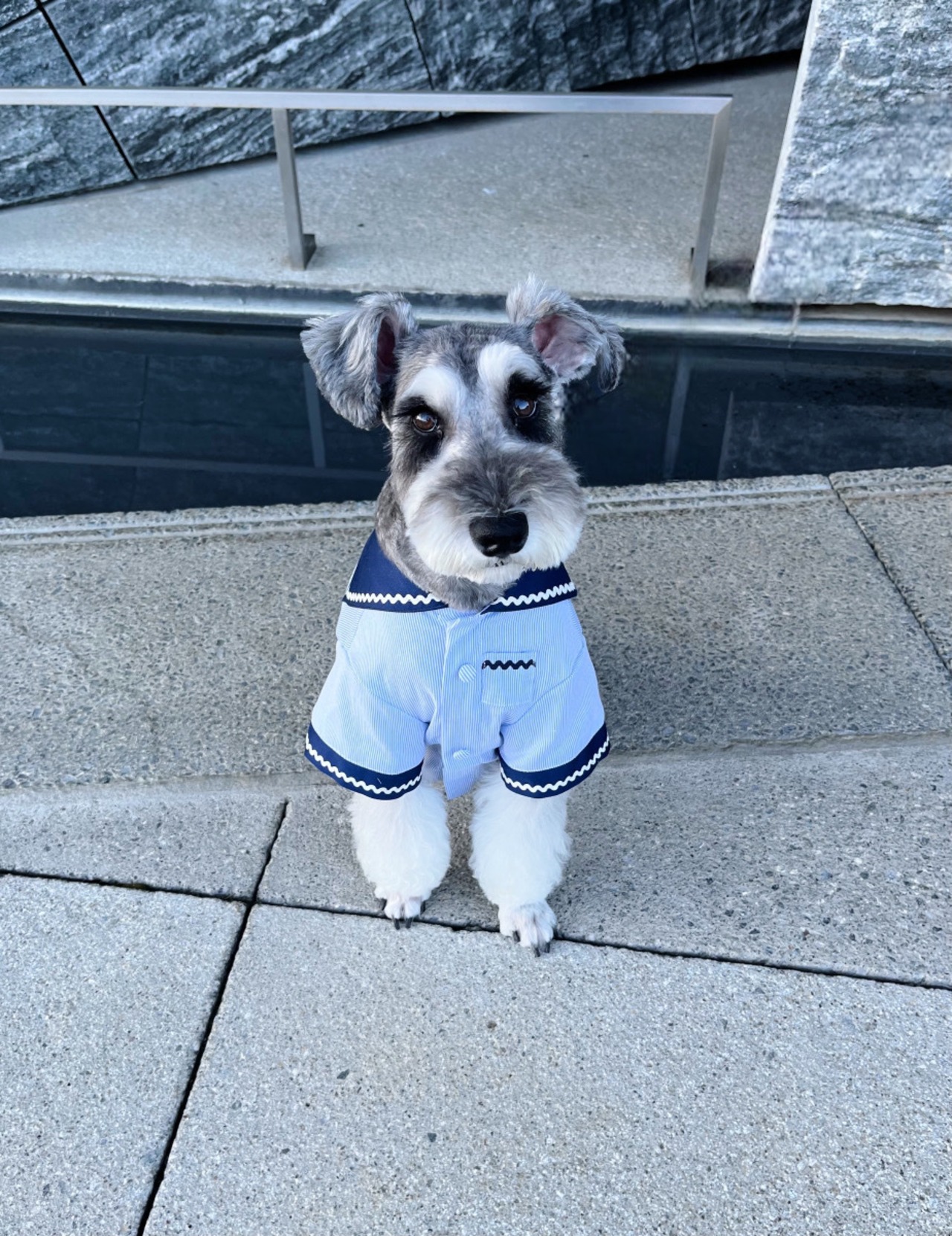 Teen Sailor Shirt（Stripe）