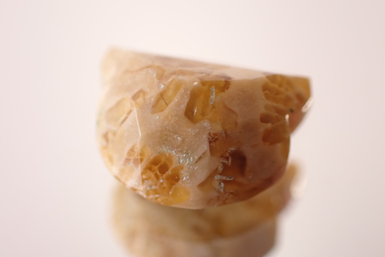 フォッシルコーラル(猫カット)　1.53ct　[D11‐531]