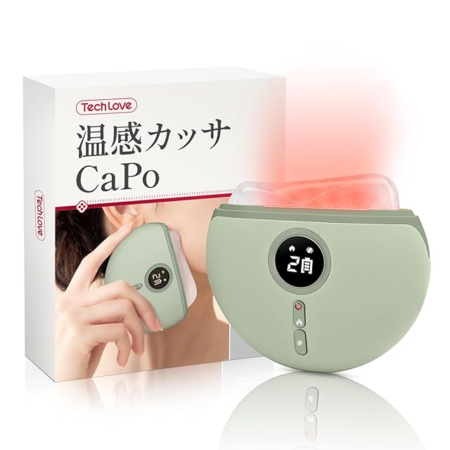 LED振動 導入美顔器 ガルバニック | PAY ID