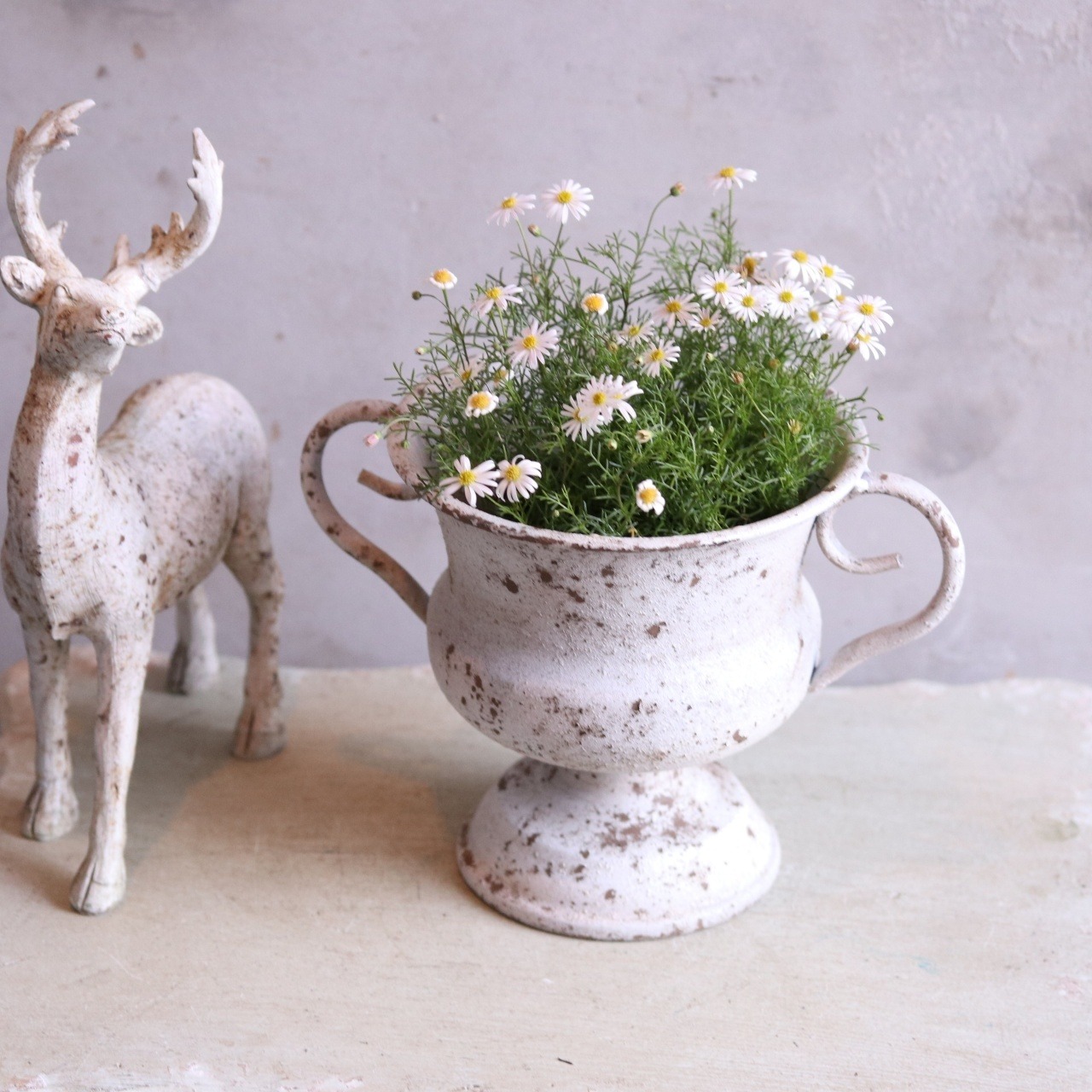 mondimanche ブリキ植木鉢　シャビーハンドルカップMW　UF656|1~2ポット植え込みのシャビーシックな鉢　お玄関がオシャレに変わります