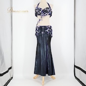 ベリーダンス オリエンタル 衣装 上下セット グリーン系 光沢 ラインストーン ビーズ ストレッチ 伸縮 高級感 スリット 華やか 装飾 豪華 煌びやか ストーン ダンス衣装 アーム 腕飾り トップス スカート ステージ 舞台 ゴージャス パープル系 ブルー系