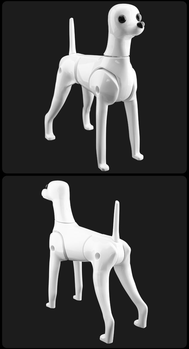 モデルドッグ ヘアー付き プードル テディー ビション 犬 カットモデル