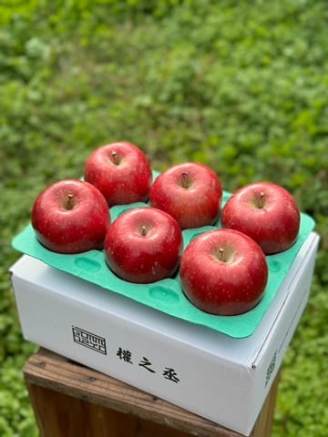 葉取らずコスモふじ家庭用　2kg