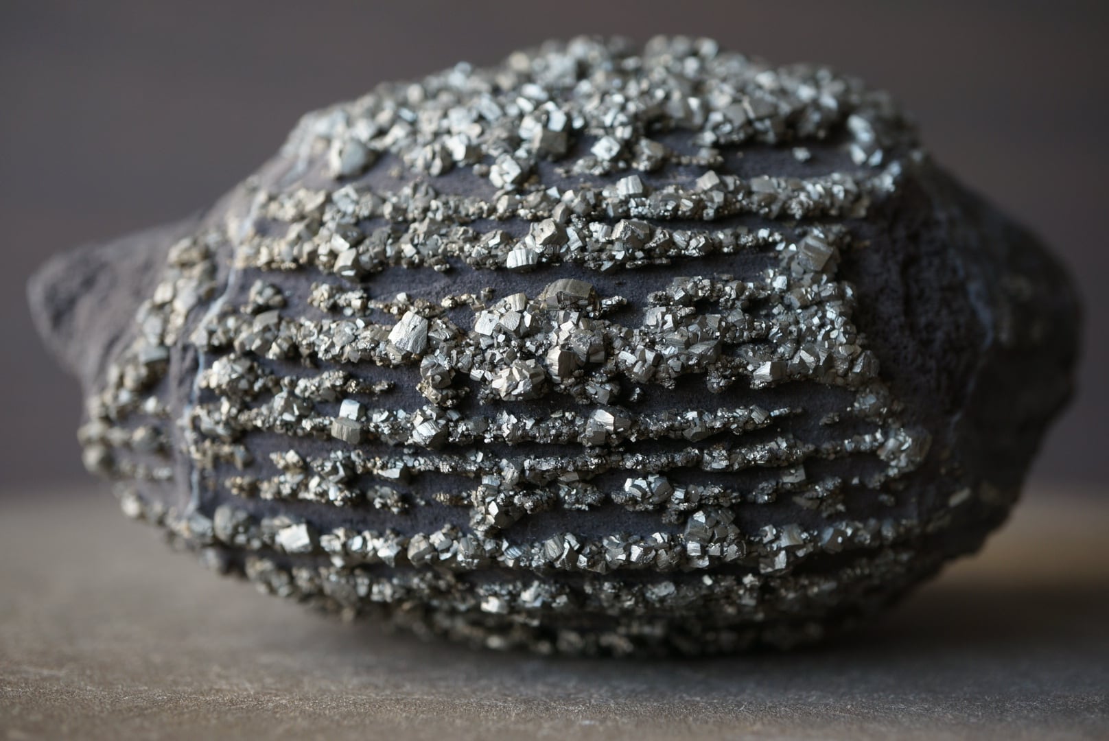 雲南省産パイライトコンクリーション Pyrite Concretion 1844 | 叙景 jokei