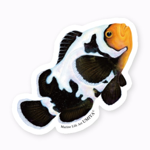 海の生きものステッカー（ブラックスノーフレークオセラリス）