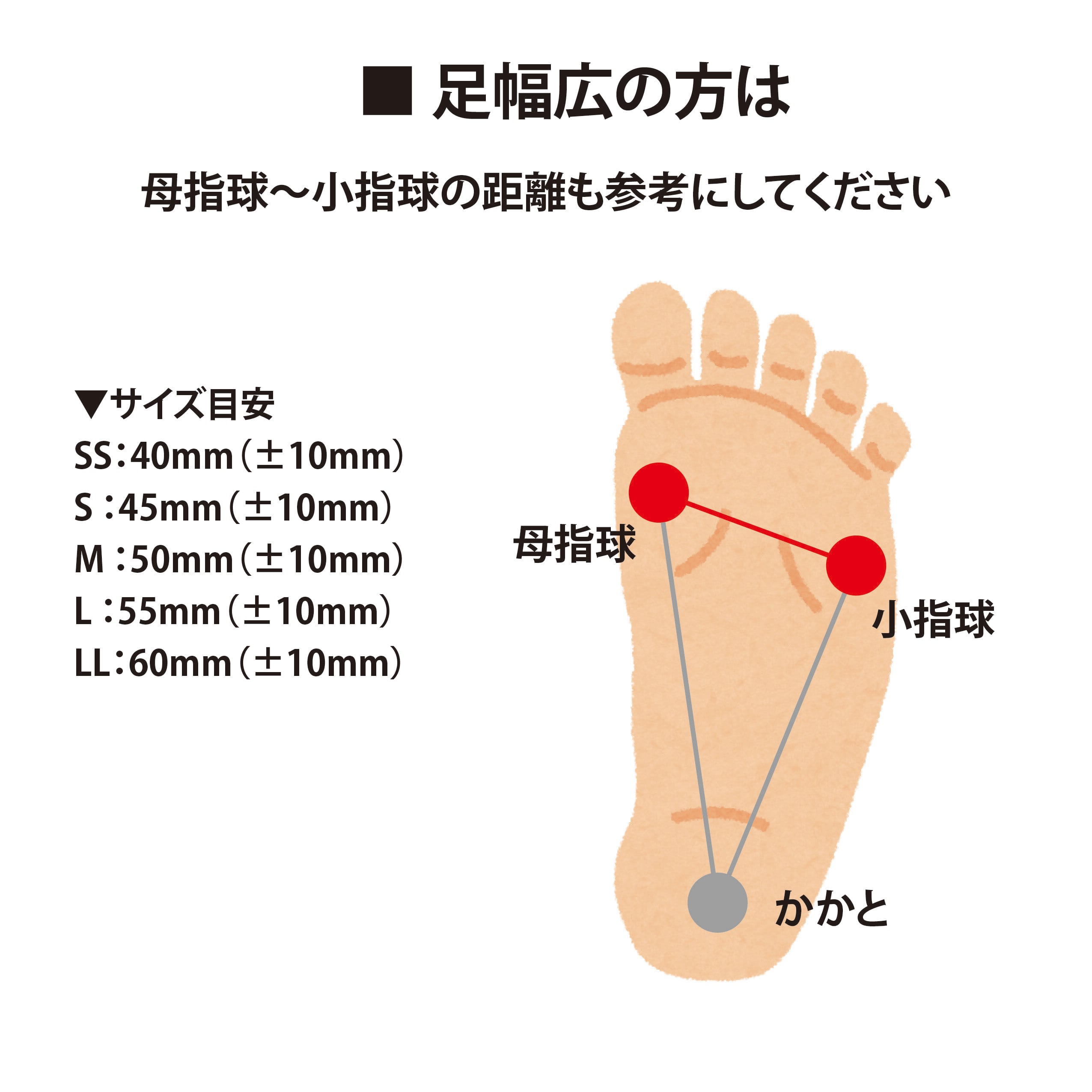 送料無料】スニーカーに最適 バランス工房 インソール B-TR TRYおまけ