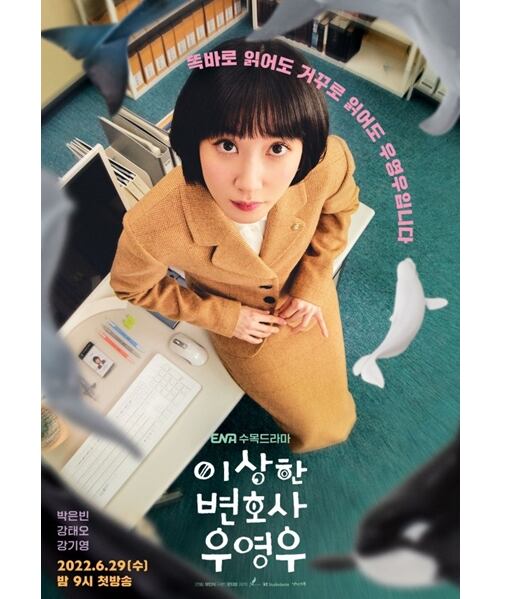 韓国 ドラマ ウヨンウ弁護士は天才肌　Blu-ray