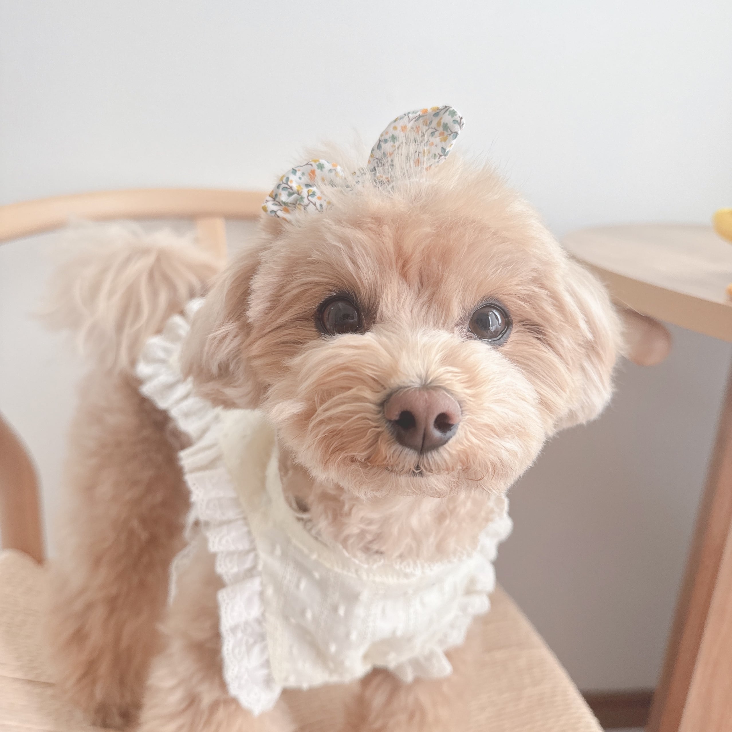 2カラー小花小さめおリボン撮影用カチューシャ