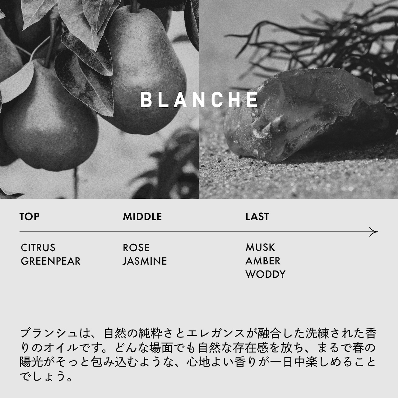 【LOA THE OIL ロアオイル/送料無料/正規販売店】BLANCHE（ブランシュ）100ml　ロアザオイル