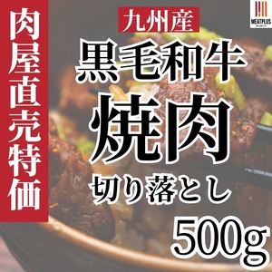 お手頃贅沢!黒毛和牛500g焼肉切り落とし【九州産”アトランダム”な焼肉部位】焼肉好き必見!食卓を華やかにする（A4~A5）