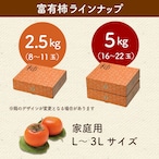 【予約・11月下旬～12月発送】【2026年産】富有柿 2L 18玉（5ｋｇ）
