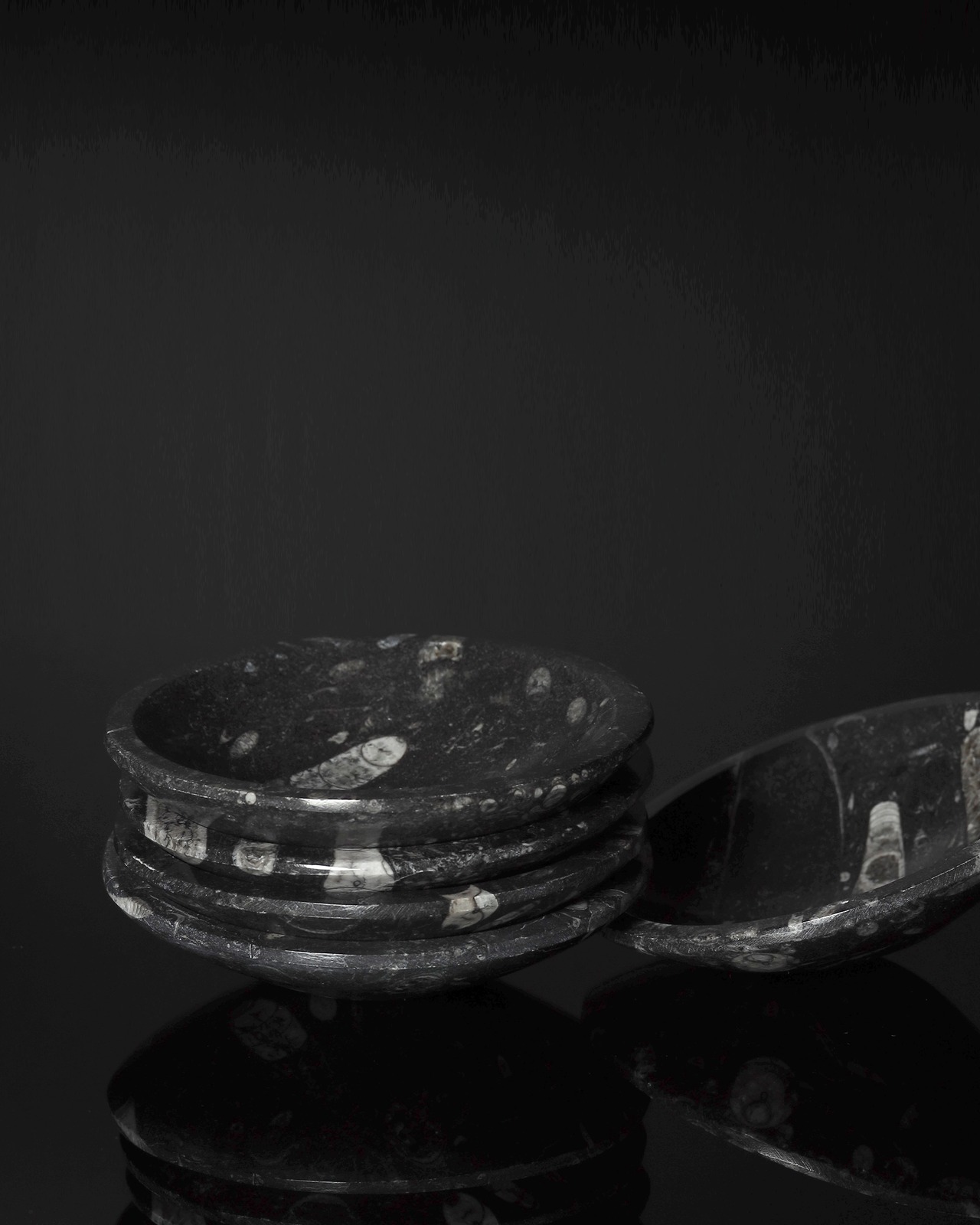 Fossil / Orthoceras Fossil Plate - 12cm