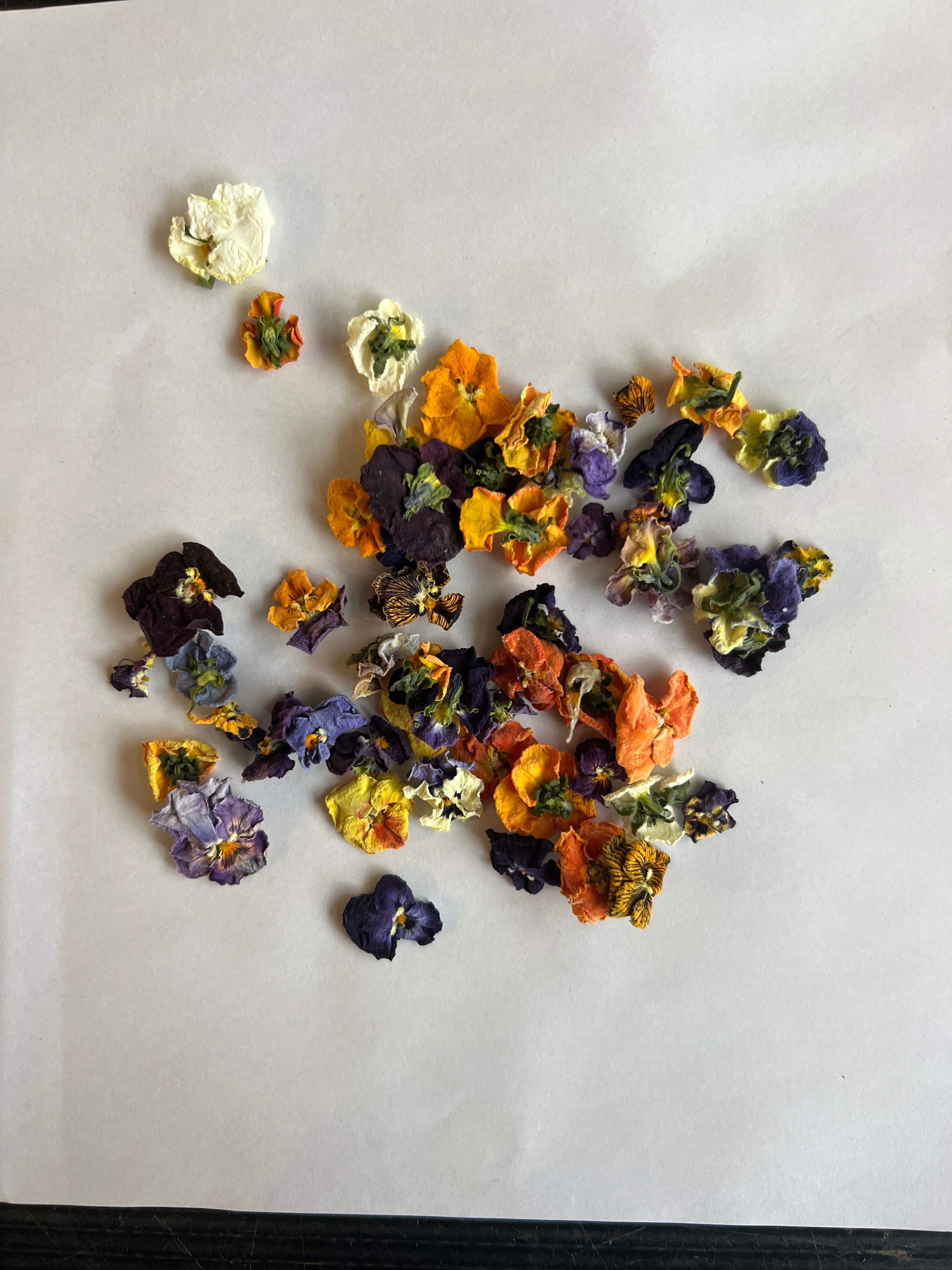 ドライエディブルフラワー ビオラ 1g | 柴田農園