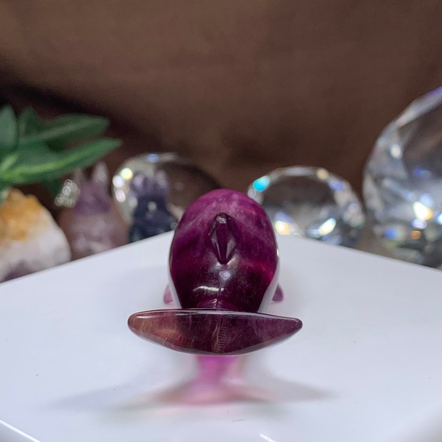 1.癒☆可愛いフローライトイルカさん