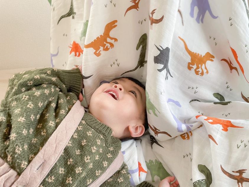 送料無料 】恐竜ブランケット | gerbera select