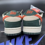 SB DUNK LOW PRO EIRE 304292-185