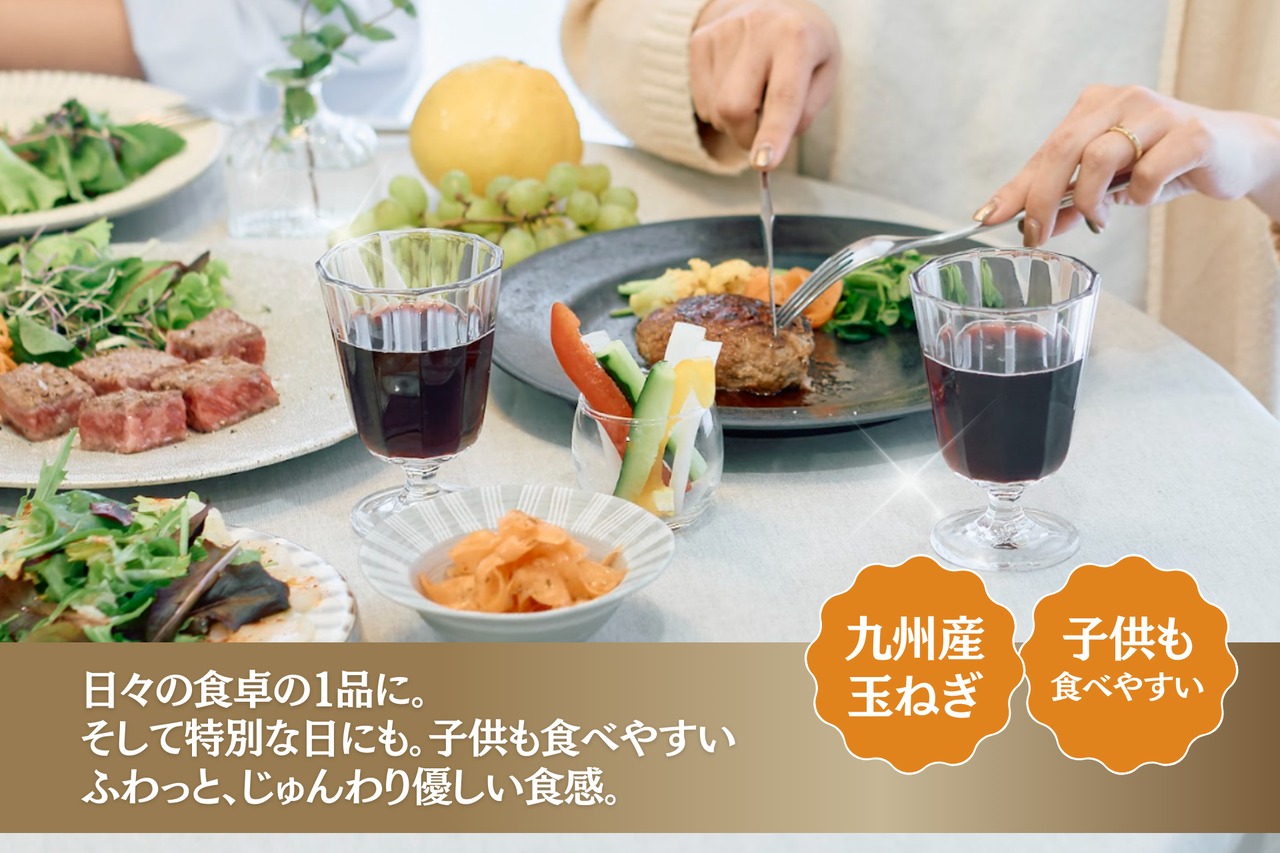 ごちそう九州牛・ハンバーグのジュー（6個セット）