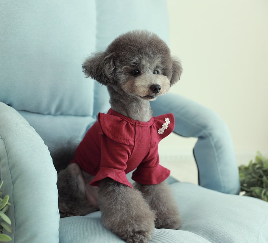 purina t-shirt S ~ XL 4color  /  犬服 秋冬 Tシャツ ブラウス 上品 可愛い ワンコ服 ストレッチ 犬の服 長袖 無地 ドッグウェア フリル シンプル ニット お揃い ハイネック 韓国ワンコ服 小型犬 中型犬