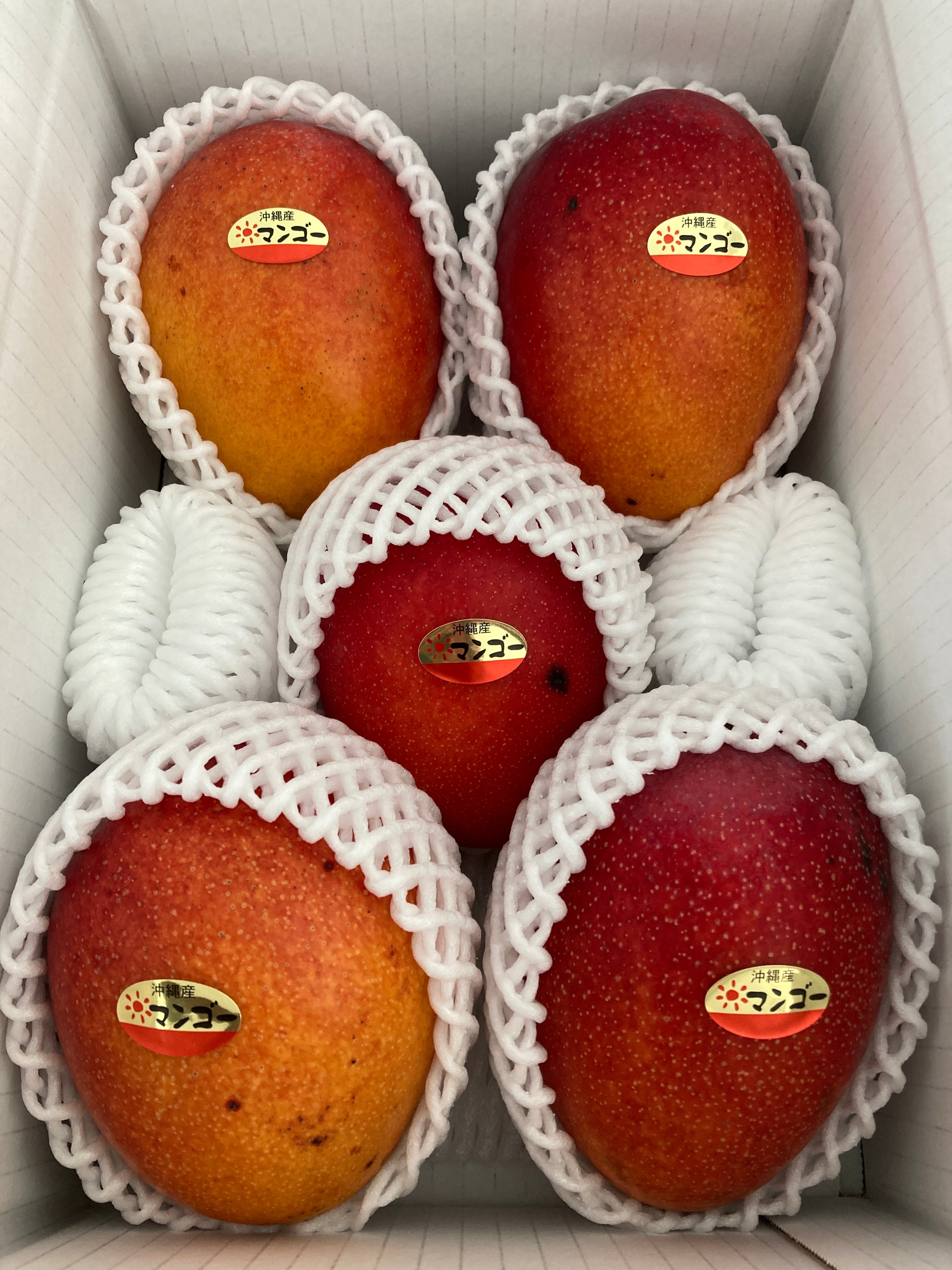 沖縄県産　とろける沖縄マンゴー　訳あり2〜3玉　1kg（箱込み）クール便込み価格 食品 沖縄直送 完熟マンゴー 訳あり 2〜3玉 1kg（箱込み）クール便配送込み