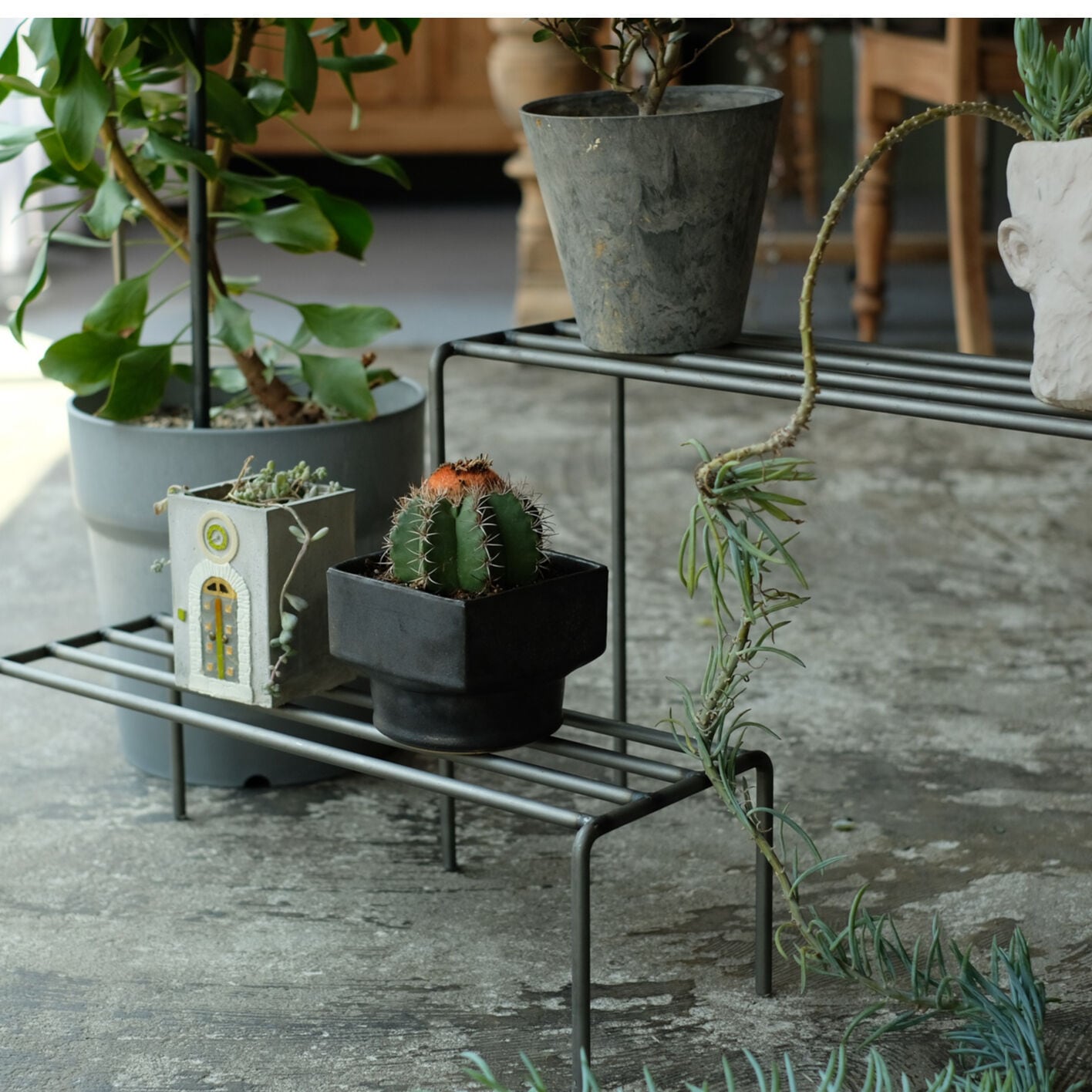 KNOP plant stands [WIDE 3 pieces set] | WEST VILLAGE TOKYO