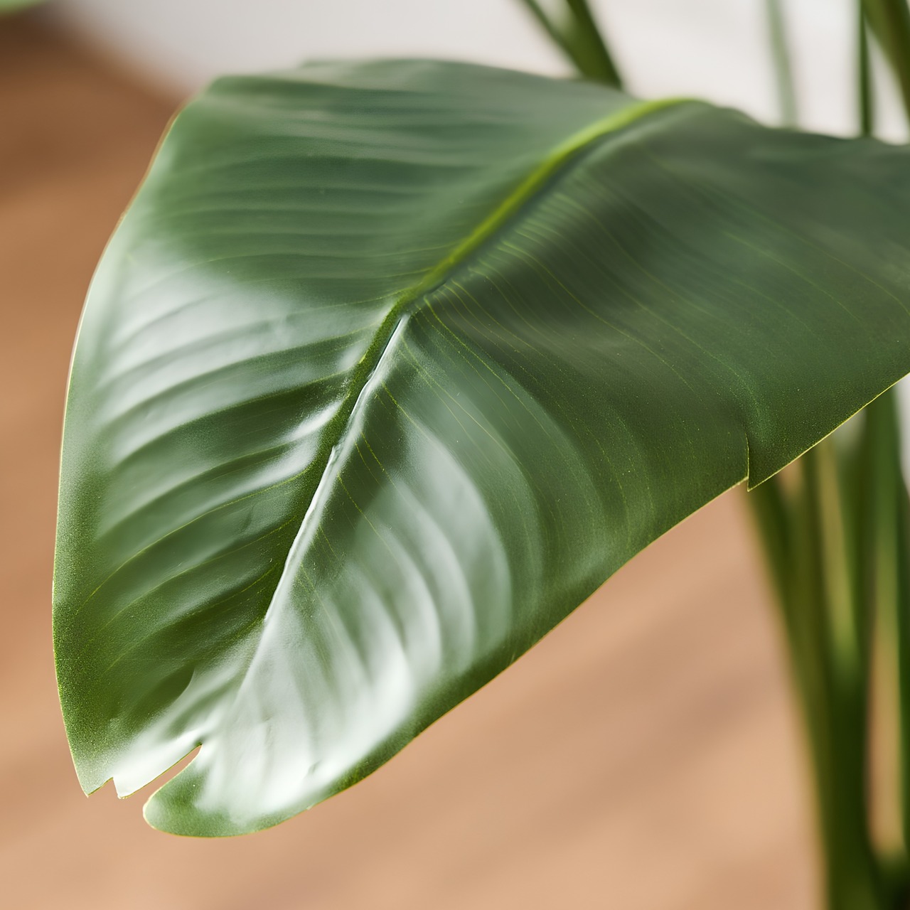 ストレリチア210㎝［人工観葉植物・フェイクグリーンT］