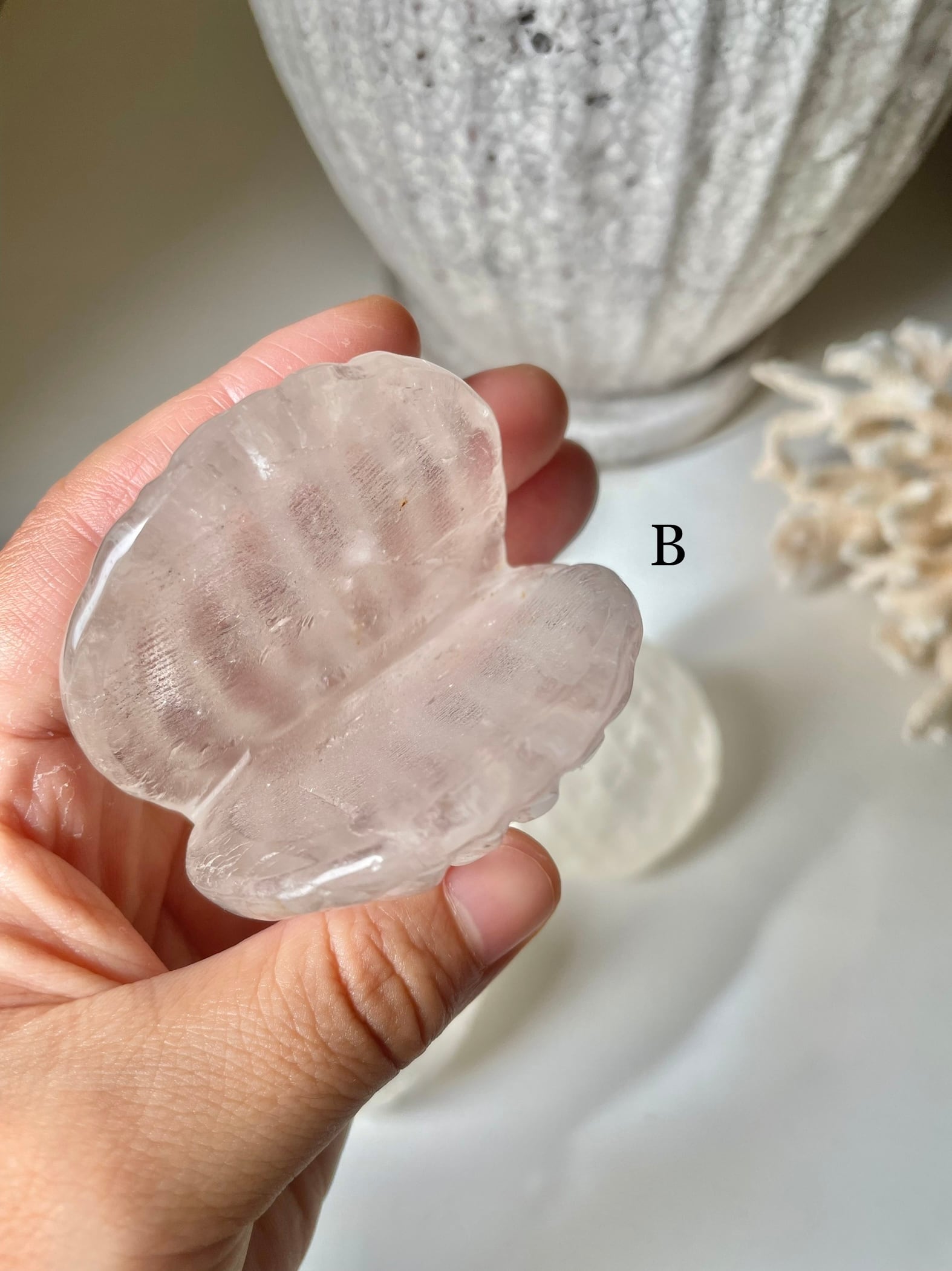 Crystal Shell / 水晶　貝