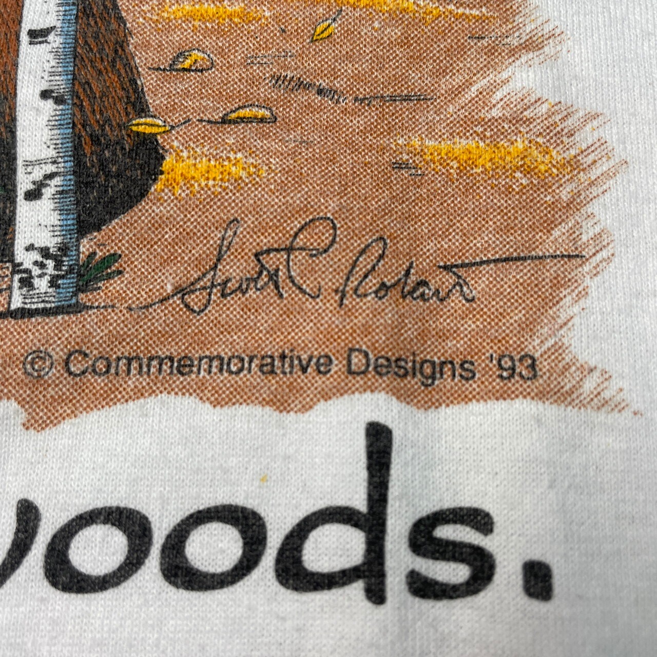 90年代 USA製 ALASKA クマ アニマル アート プリントTシャツ メンズL 
