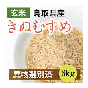 きぬむすめ 6kg 玄米（鳥取県産）令和5年産