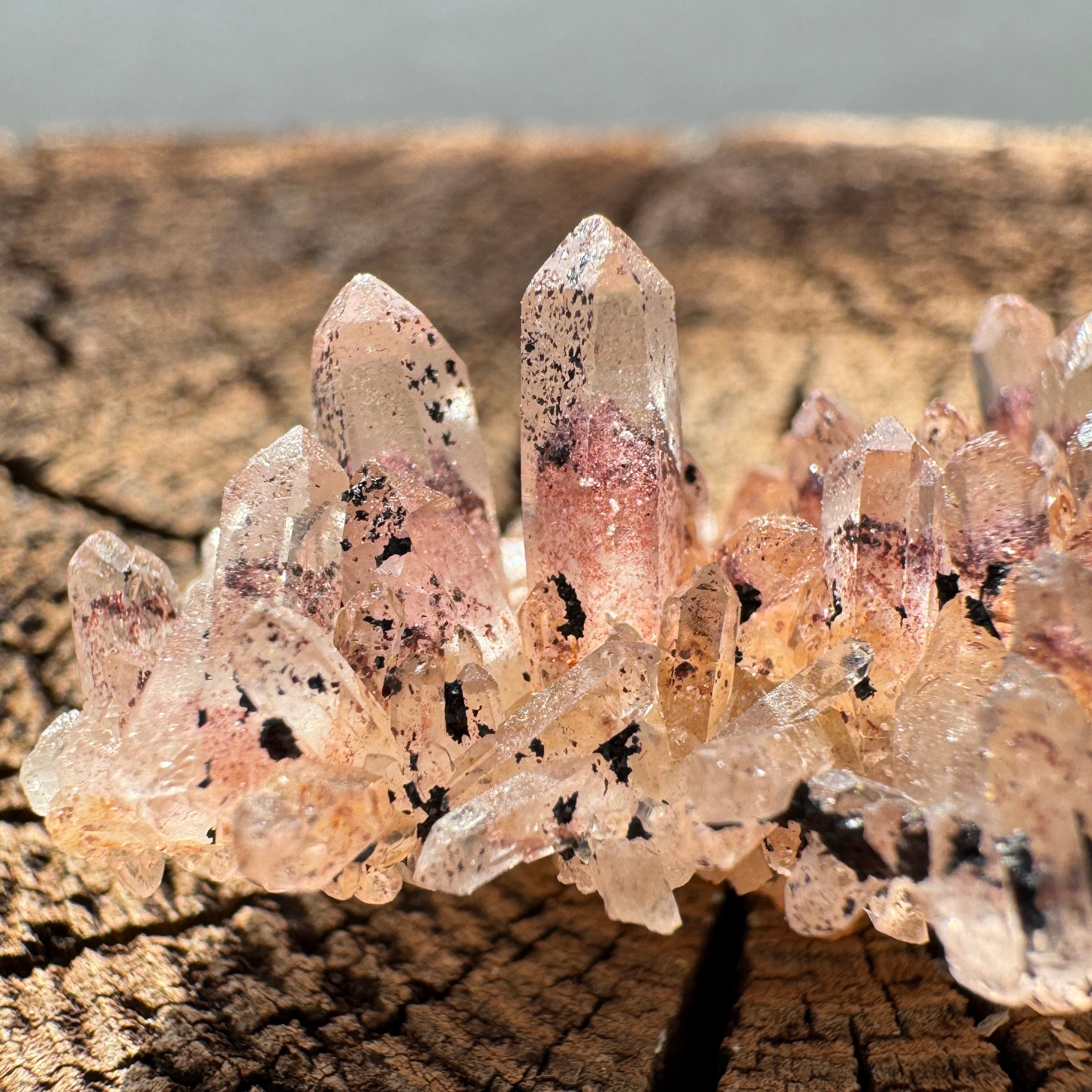 南インド産レッドファントム 南インド産 レッドファントムクォーツ 水晶 | アトリエ セドナ