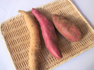 焼き芋にして食べ比べてみませんか？セット