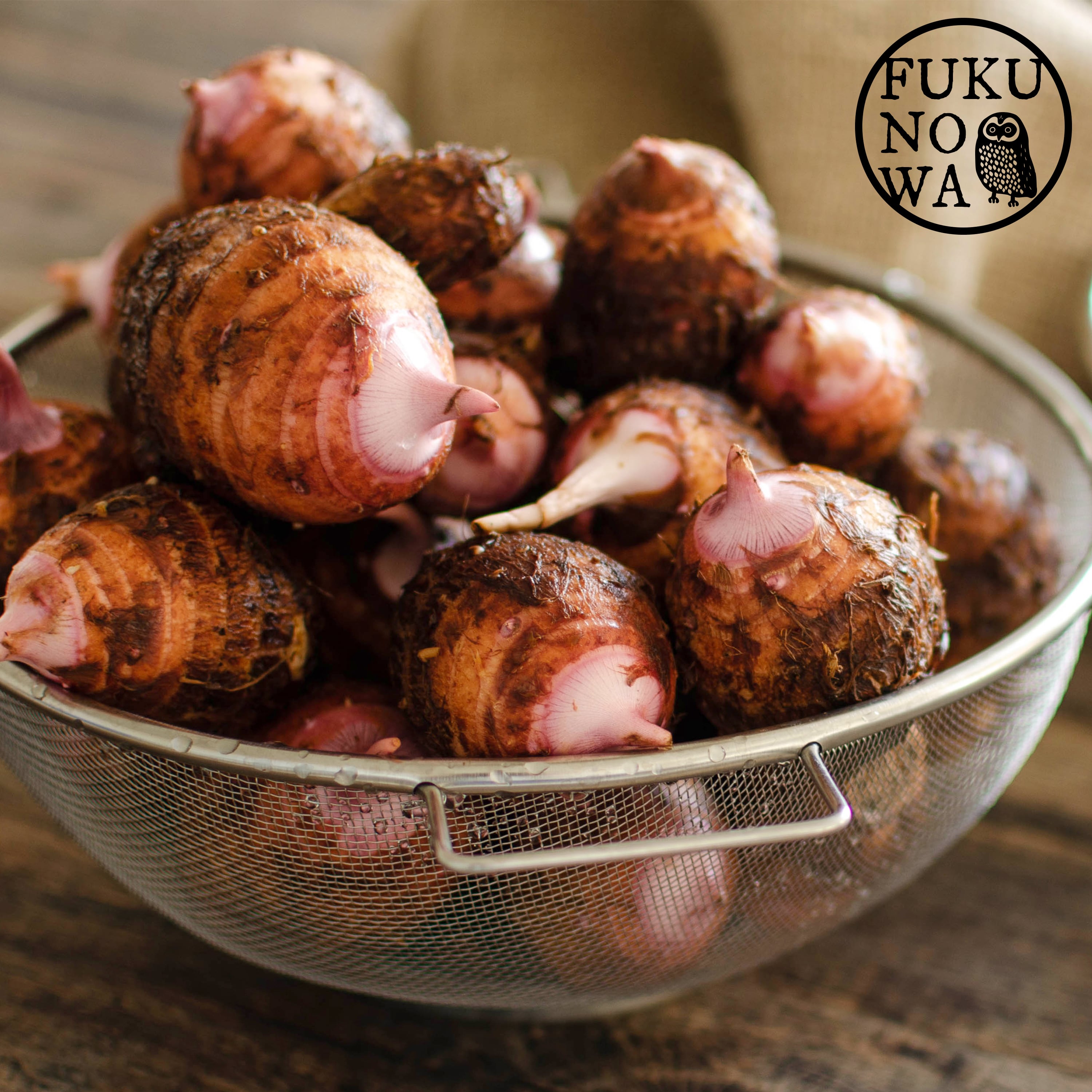 5882d40965625ccb0082bc6a100fbc