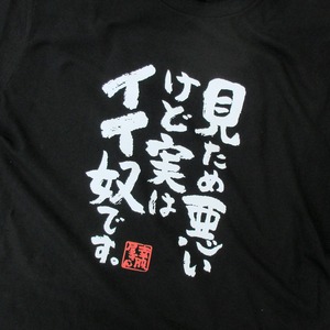 見ため悪いけど実はイイ奴です。 おもしろ 漢字Tシャツ ka400-59 容姿 怖い 強面 ルッキズム